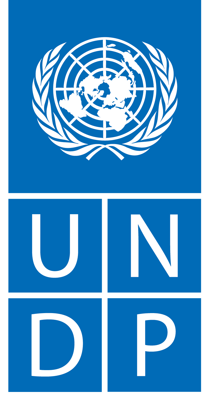 UNDP Logo